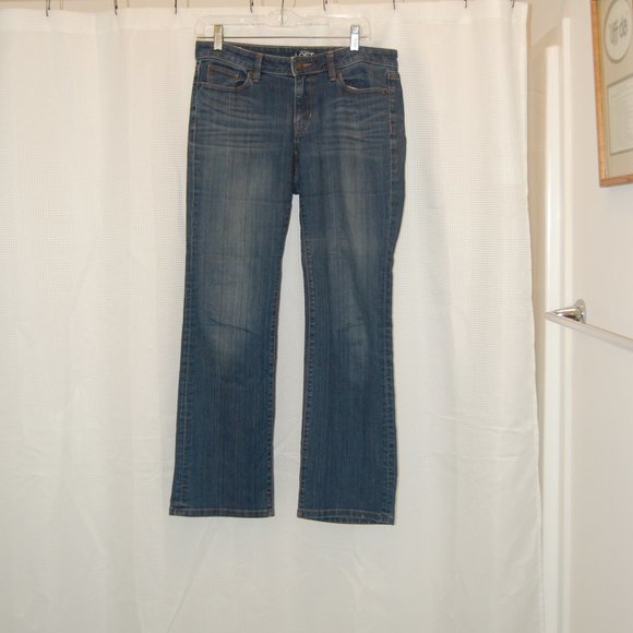 ANN TAYLOR LOFT Women's Denim Jeans SIze 6P Curvy Bootcut - Picture 1 of 7